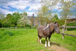 B&B / Chambres d'hotes Le Domaine de Cordey : photos des chambres