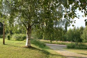 Gamla Skolan Bed And Breakfast