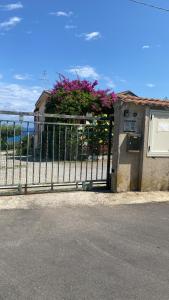 Hibiscus Apartment-casa per le vacanze vicino tropea