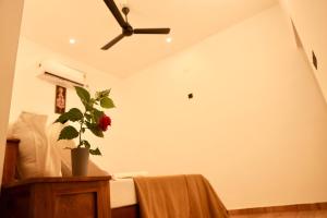 Marari Anns Casa Beach Homestay