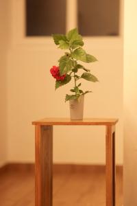 Marari Anns Casa Beach Homestay