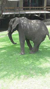 Tarangire Sopa Lodge