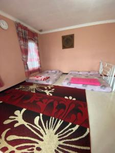 Homestay Dieng Mahameru