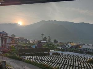 Homestay Dieng Mahameru
