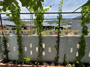 BÌNH MINH homestay - Vĩnh hy