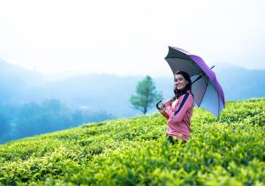 Viriparai Tea Bungalow Munnar by VOYE HOMES - Surrounded by Tea Plantations