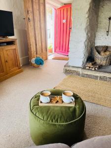 Pretty Dartmoor Cottage in woodland-setting