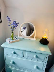 Pretty Dartmoor Cottage in woodland-setting