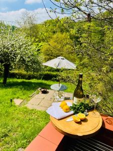 Pretty Dartmoor Cottage in woodland-setting
