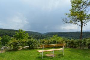 Hermitage St Roch photo 12