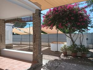 Casa Rural El Algarrobo