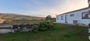 Blue Shark Appartment