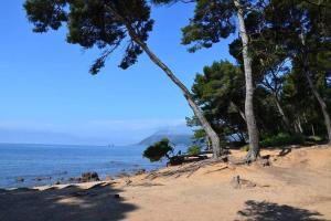 StudiHotel cœur Sablettes CLIM parking H24 total autonomie