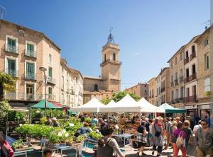Pézenas historique appartement clim wifi 2 chambres 6 couchages
