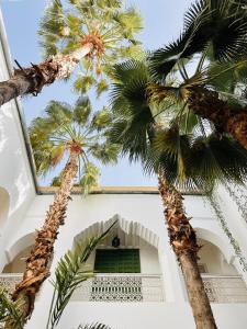 Riad Vert Marrakech