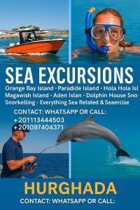 Tai orange bay Island- Paradis Island- Dolphin - hula hula Island - Magawish island-etc