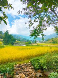 Kiêm Nguyễn Homestay Tả Van