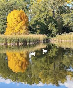 Luxury House with Garden near Chopin Airport