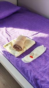 Luxury House with Garden near Chopin Airport