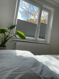 Zentrale City-Oase - Ruhe, Kulinarik & Komfort