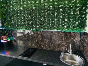 Black Apartment at Blossom Hill