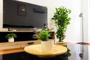 Piso Museo del Realismo-Catedral-Alcazaba-Free Parking-Wifi-Aire acondicionado