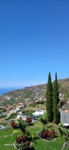 ARTIST HOUSE Rooms With View And Shared Kitchen