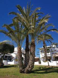 Apartamento Puesta De Sol