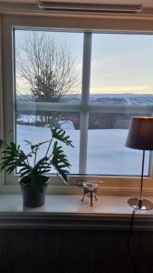 Leilighet på Bekkeli, Beito.