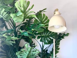 Fresh & Cozy-close to the beach