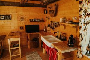Pioneer Cabin - Wilderness Adventures Sweden