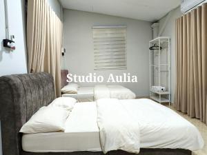 Studio Aulia, Dungun, Terengganu