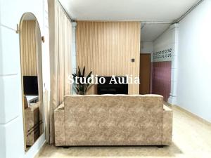 Studio Aulia, Dungun, Terengganu