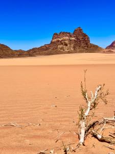 domes wadi Rum