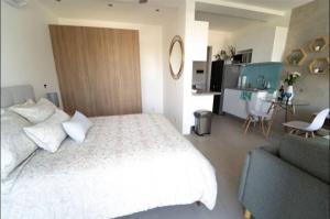 Luxury Condo in Centro Playa with Pool