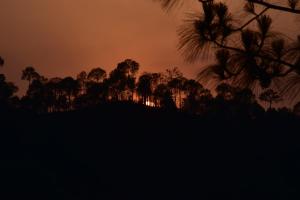The Moonlight Stay Kasauli