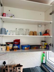 Luxurious Modern Flat with Elegant Interiors