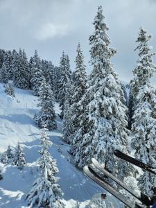 Hotel Buckelhof - See - only 20 min from Ischgl