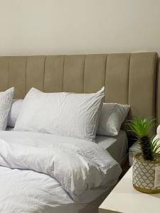 وحده فندقيه فاخره في مدينتي 13