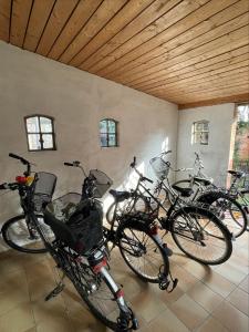 City Business Apartment