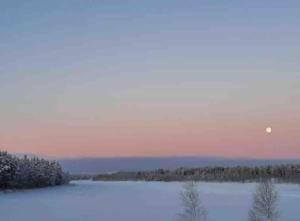 Cozy two-room apartment with sauna