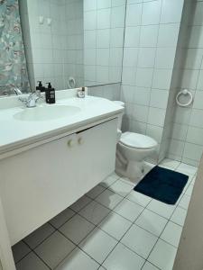 Hermoso Departamento Providencia