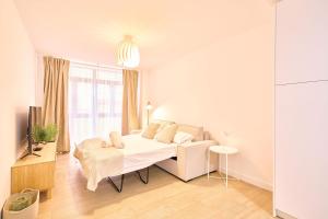 Universitas Suite urban collection