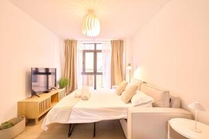 Universitas Suite urban collection