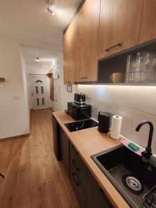 Surčin Central Stay