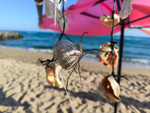 William's apartments - fourth pretty studio - 4hvězdičkové hotely ve městě Sveti Vlas