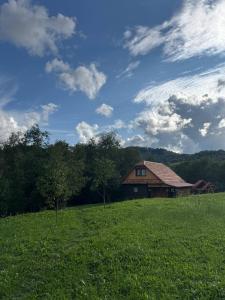 Petrashiv Cottage Behind the River
