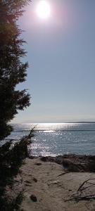 Holiday-house-Saba-Lupino img22