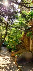 Chambres dans une maison de charme au calme en bord de Marne proche transports