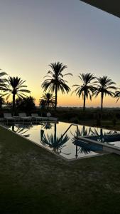 Dar Jamila - Au coeur de lOasis -